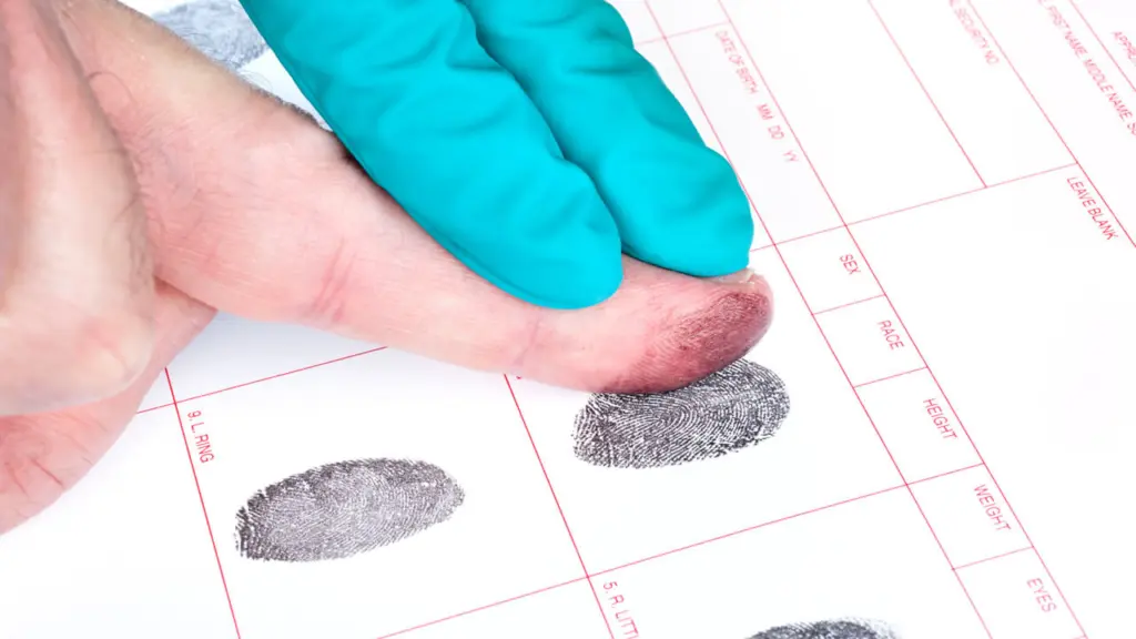 what are immigration fingerprints for